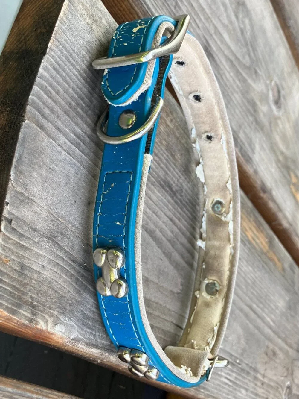 🐶💙 Blue Leather Studded Dog Collar | Silver Bone Studs | Thick Padded Collar |